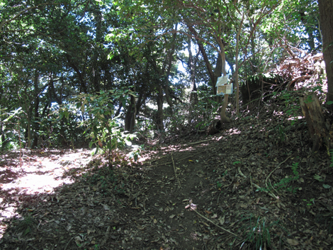 20150715hike (142)